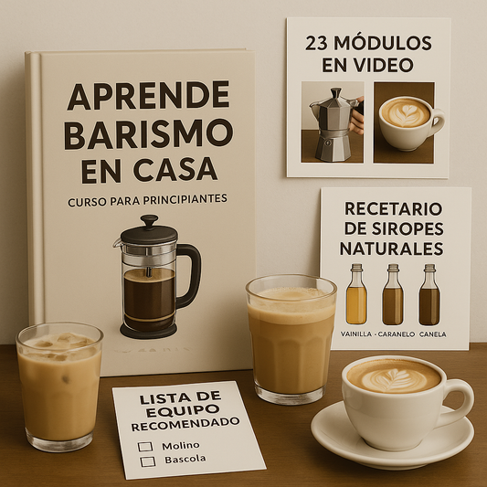 APRENDE BARISMO EN CASA
